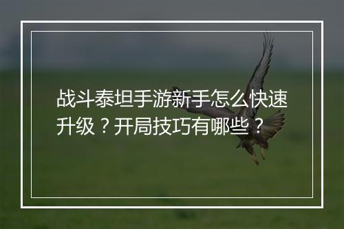 战斗泰坦手游新手怎么快速升级?开局技巧有哪些?