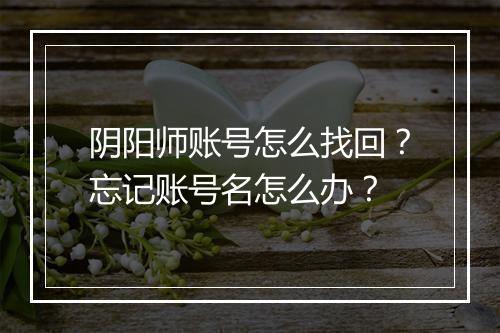 阴阳师账号怎么找回?忘记账号名怎么办?