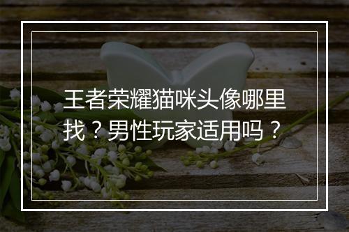 王者荣耀猫咪头像哪里找?男性玩家适用吗?