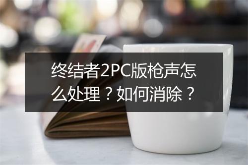 终结者2PC版枪声怎么处理?如何消除?
