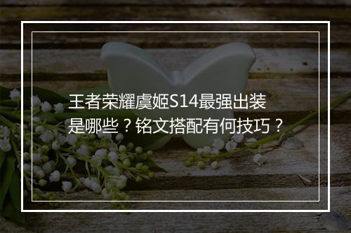 王者荣耀虞姬S14最强出装是哪些?铭文搭配有何技巧?