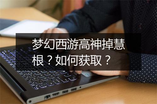 梦幻西游高神掉慧根?如何获取?