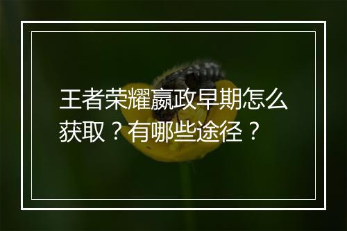 王者荣耀嬴政早期怎么获取？有哪些途径？