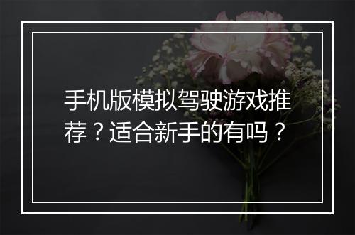 手机版模拟驾驶游戏推荐?适合新手的有吗?