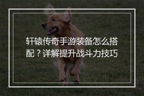 轩辕传奇手游装备怎么搭配?详解提升战斗力技巧