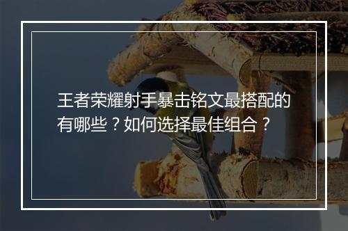 王者荣耀射手暴击铭文最搭配的有哪些?如何选择最佳组合?