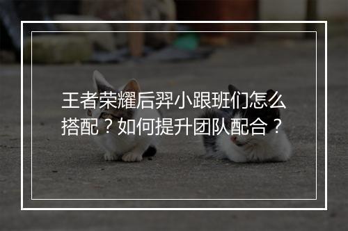 王者荣耀后羿小跟班们怎么搭配?如何提升团队配合?