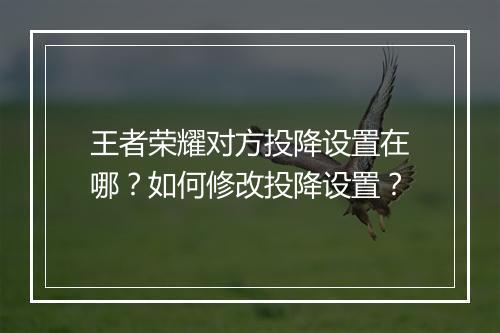 王者荣耀对方投降设置在哪?如何修改投降设置?