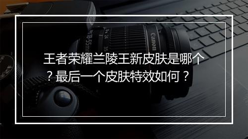 王者荣耀兰陵王新皮肤是哪个?最后一个皮肤特效如何?