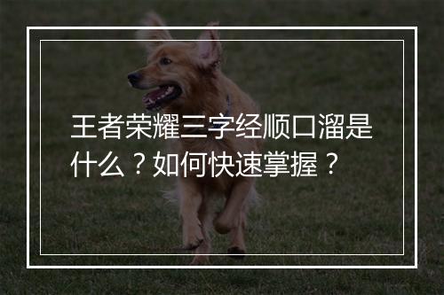 王者荣耀三字经顺口溜是什么?如何快速掌握?