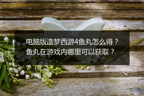 电脑版造梦西游4鱼丸怎么得?鱼丸在游戏内哪里可以获取?
