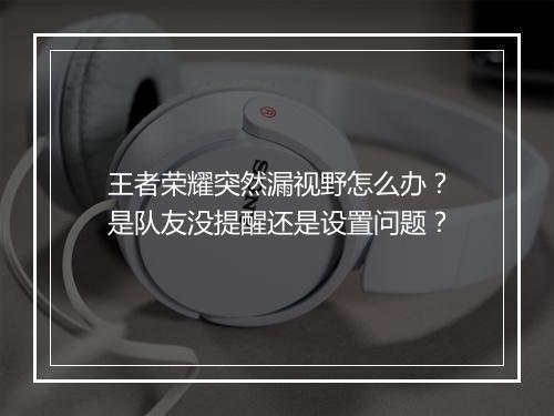 王者荣耀突然漏视野怎么办?是队友没提醒还是设置问题?