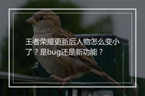 王者荣耀更新后人物怎么变小了?是bug还是新功能?