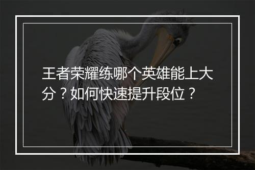 王者荣耀练哪个英雄能上大分?如何快速提升段位?