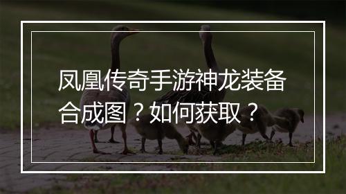 凤凰传奇手游神龙装备合成图?如何获取?