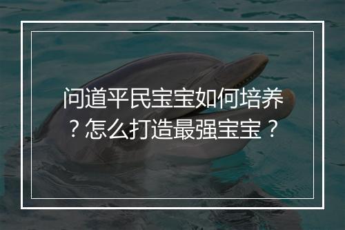 问道平民宝宝如何培养？怎么打造最强宝宝？