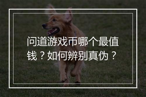 问道游戏币哪个最值钱？如何辨别真伪？