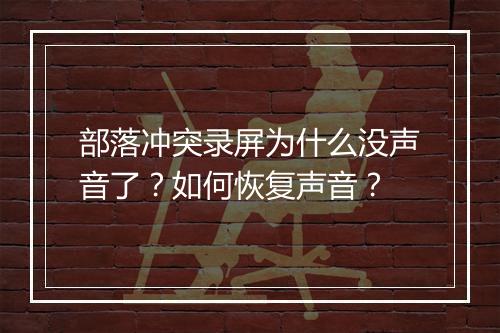 部落冲突录屏为什么没声音了?如何恢复声音?