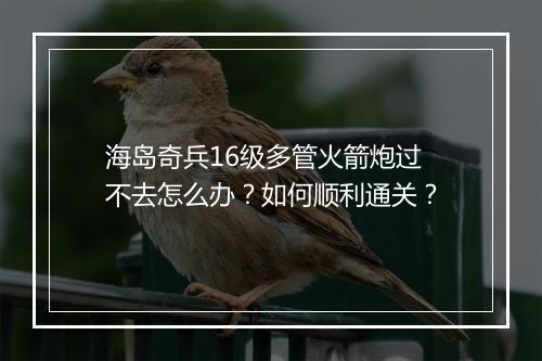 海岛奇兵16级多管火箭炮过不去怎么办?如何顺利通关?