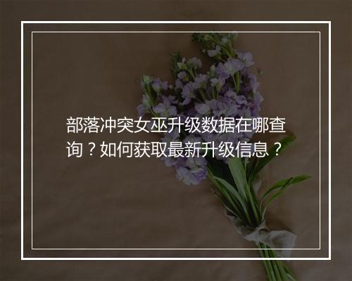 部落冲突女巫升级数据在哪查询?如何获取最新升级信息?