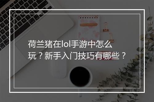 荷兰猪在lol手游中怎么玩?新手入门技巧有哪些?