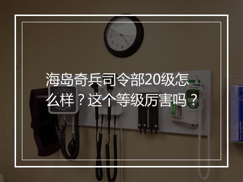 海岛奇兵司令部20级怎么样?这个等级厉害吗?