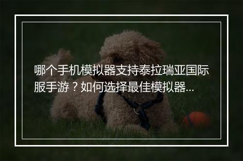 哪个手机模拟器支持泰拉瑞亚国际服手游？如何选择最佳模拟器？