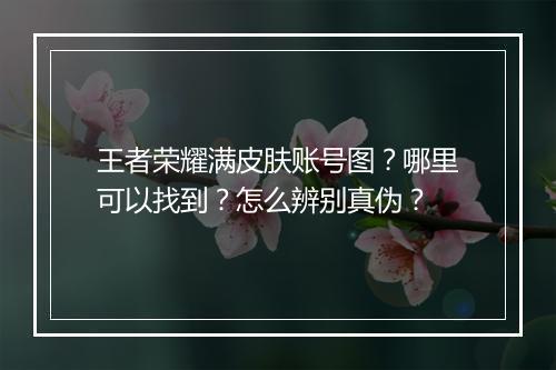 王者荣耀满皮肤账号图?哪里可以找到?怎么辨别真伪?