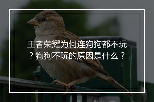 王者荣耀为何连狗狗都不玩？狗狗不玩的原因是什么？