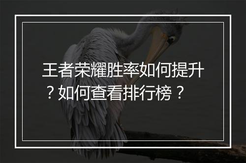 王者荣耀胜率如何提升？如何查看排行榜？