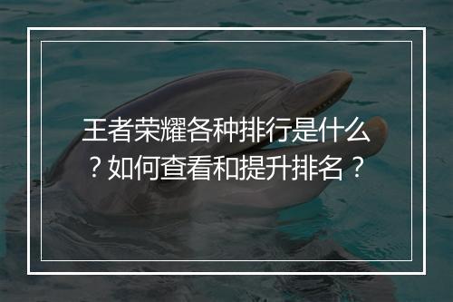 王者荣耀各种排行是什么?如何查看和提升排名?
