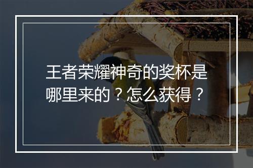 王者荣耀神奇的奖杯是哪里来的?怎么获得?