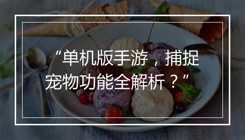 “单机版手游,捕捉宠物功能全解析?”