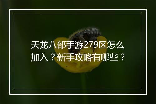 天龙八部手游279区怎么加入？新手攻略有哪些？