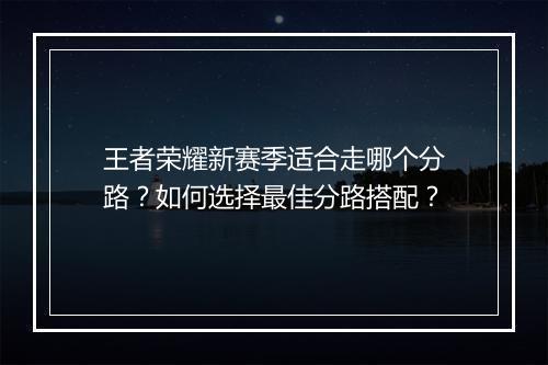 王者荣耀新赛季适合走哪个分路？如何选择最佳分路搭配？