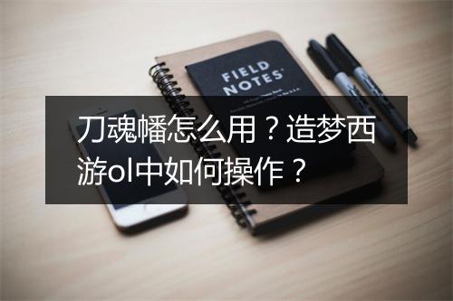刀魂幡怎么用?造梦西游ol中如何操作?