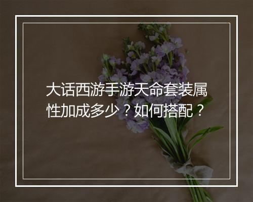 大话西游手游天命套装属性加成多少?如何搭配?