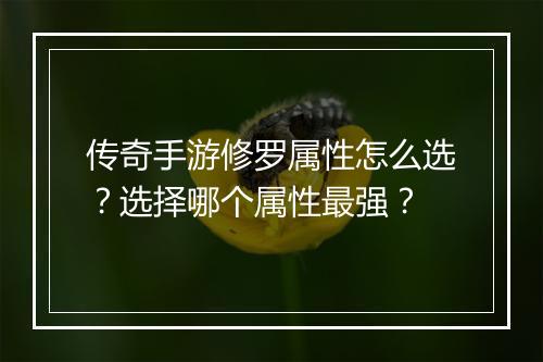传奇手游修罗属性怎么选?选择哪个属性最强?