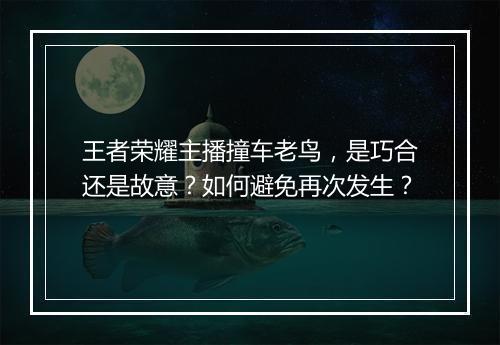 王者荣耀主播撞车老鸟，是巧合还是故意？如何避免再次发生？