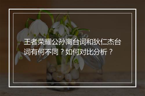 王者荣耀公孙离台词和狄仁杰台词有何不同?如何对比分析?