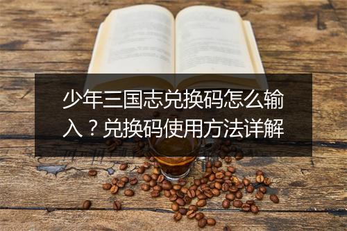 少年三国志兑换码怎么输入?兑换码使用方法详解