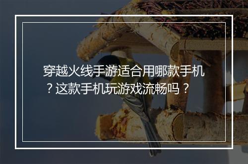 穿越火线手游适合用哪款手机?这款手机玩游戏流畅吗?