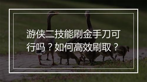 游侠二技能刷金手刀可行吗?如何高效刷取?