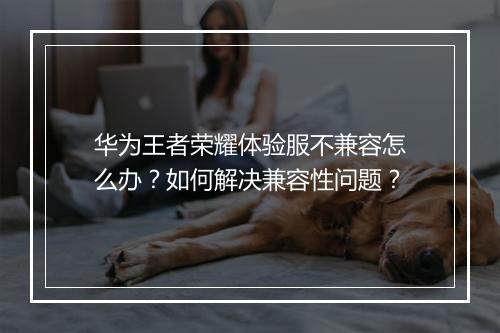 华为王者荣耀体验服不兼容怎么办?如何解决兼容性问题?