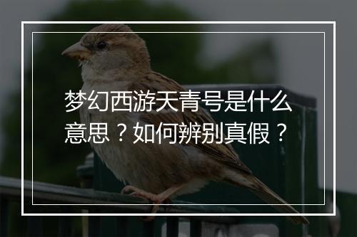 梦幻西游天青号是什么意思？如何辨别真假？