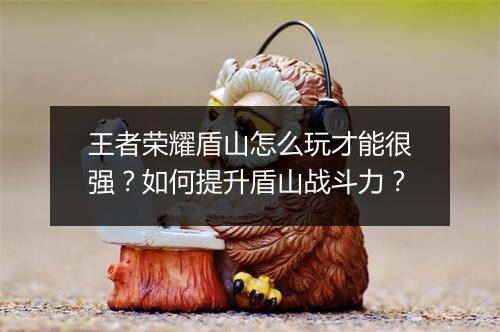 王者荣耀盾山怎么玩才能很强?如何提升盾山战斗力?