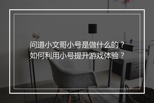 问道小文哥小号是做什么的？如何利用小号提升游戏体验？
