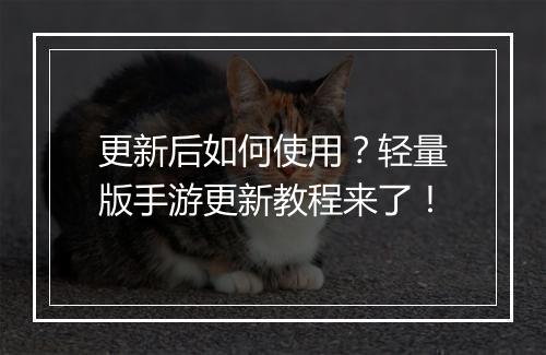 更新后如何使用?轻量版手游更新教程来了!