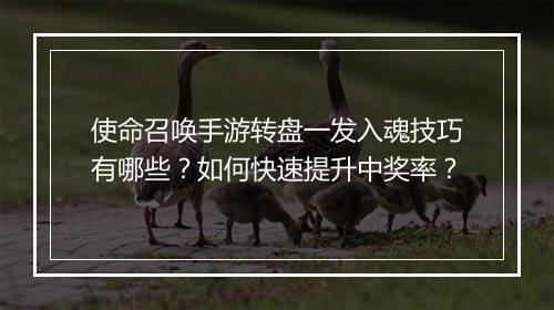 使命召唤手游转盘一发入魂技巧有哪些？如何快速提升中奖率？