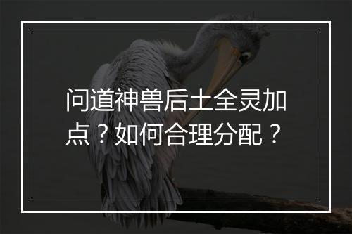 问道神兽后土全灵加点？如何合理分配？